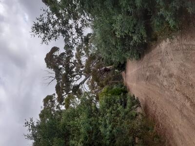 view along the track